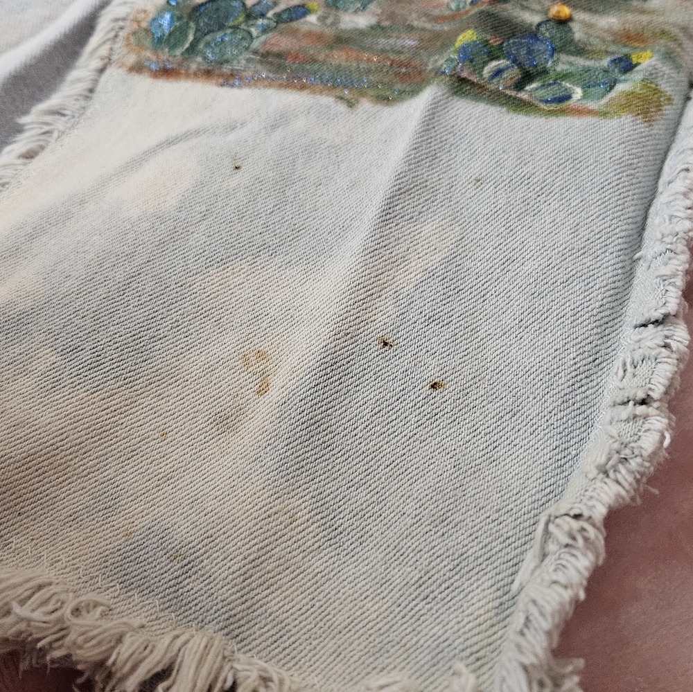 One of a kind distressed hand painted Texas vest - Picture 5 of 12